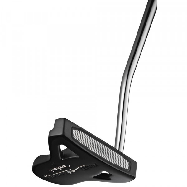 Ping Scottsdale TR Carefree L Putter